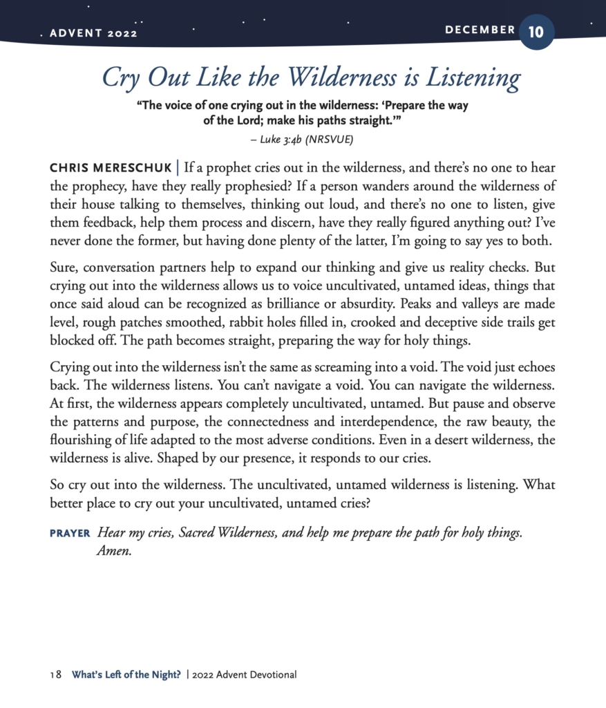 Cry Out Like the Wilderness is Listening “The voice of one crying out in the wilderness: ‘Prepare the way of the Lord; make his paths straight.’” – Luke 3:4b (NRSVUE) CHRIS MERESCHUK | If a prophet cries out in the wilderness, and there’s no one to hear the prophecy, have they really prophesied? If a person wanders around the wilderness of their house talking to themselves, thinking out loud, and there’s no one to listen, give them feedback, help them process and discern, have they really figured anything out? I’ve never done the former, but having done plenty of the latter, I’m going to say yes to both. Sure, conversation partners help to expand our thinking and give us reality checks. But crying out into the wilderness allows us to voice uncultivated, untamed ideas, things that once said aloud can be recognized as brilliance or absurdity. Peaks and valleys are made level, rough patches smoothed, rabbit holes filled in, crooked and deceptive side trails get blocked off. The path becomes straight, preparing the way for holy things. Crying out into the wilderness isn’t the same as screaming into a void. The void just echoes back. The wilderness listens. You can’t navigate a void. You can navigate the wilderness. At first, the wilderness appears completely uncultivated, untamed. But pause and observe the patterns and purpose, the connectedness and interdependence, the raw beauty, the flourishing of life adapted to the most adverse conditions. Even in a desert wilderness, the wilderness is alive. Shaped by our presence, it responds to our cries. So cry out into the wilderness. The uncultivated, untamed wilderness is listening. What better place to cry out your uncultivated, untamed cries? PRAYER Hear my cries, Sacred Wilderness, and help me prepare the path for holy things. Amen.