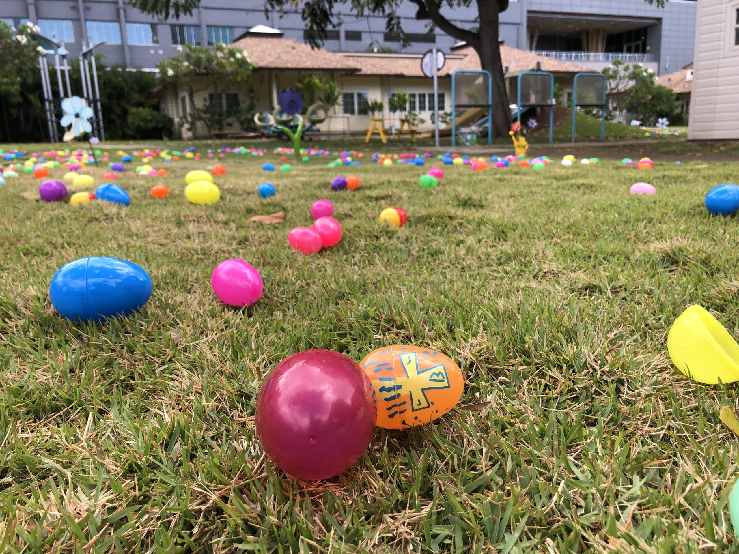plastic easter eggs on grass