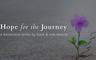 background of road with crack, flower growing out of crack text reads hope for the journey a devotional series by dave and ann smazik