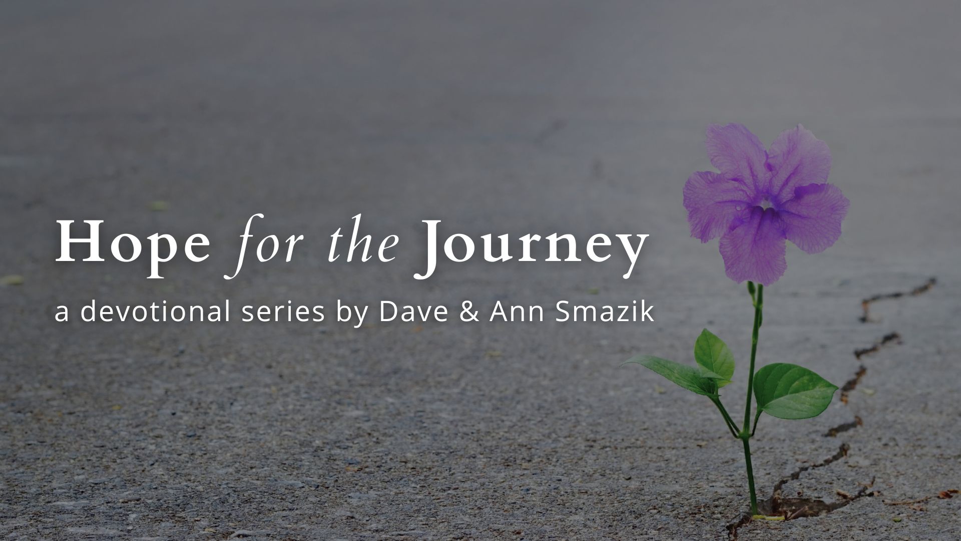 background of road with crack, flower growing out of crack text reads hope for the journey a devotional series by dave and ann smazik