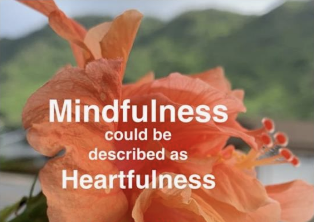 peach salmon colored hibiscus with text that reads mindfulness could be described as heartfulness