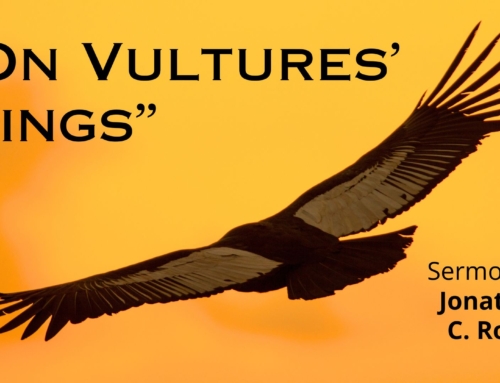 September 10, 2023 – “On Vultures’ Wings”