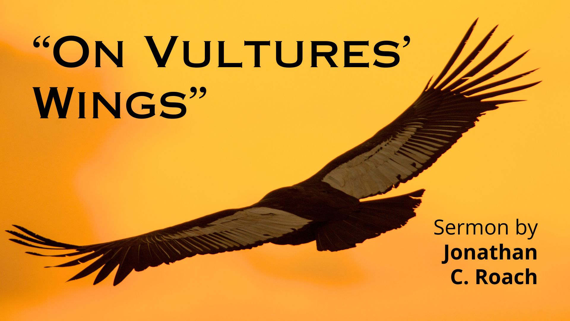 image of vulture flying with wings spread text reads "on vultures' wings" and smaller text in corner reads sermon by jonathan c roach