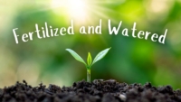 sprout coming up from soil text reads fertilized and watered